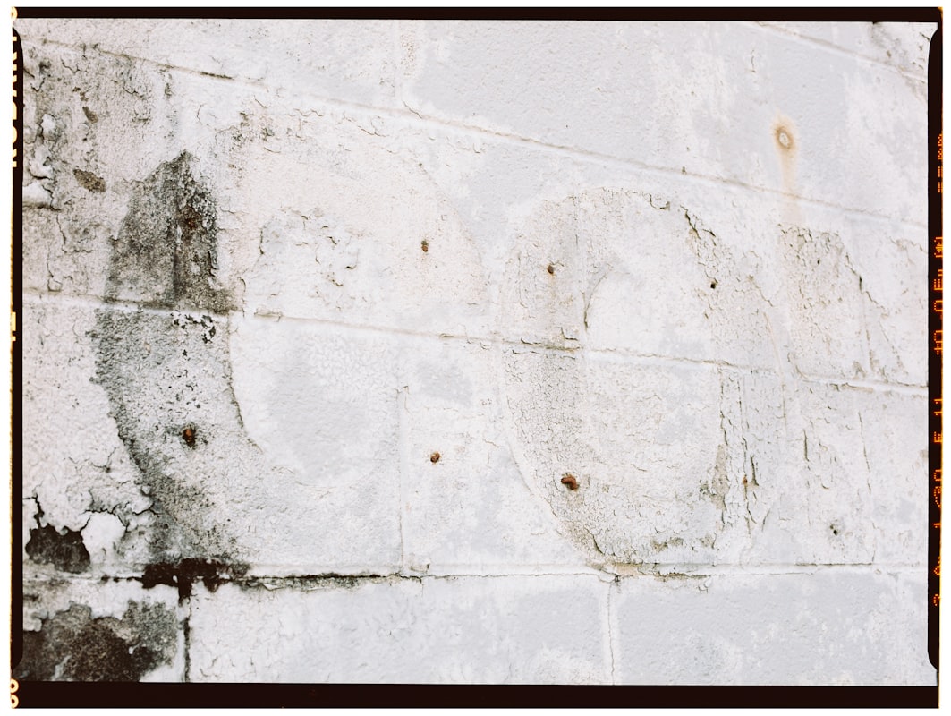 Storm Damage Repair service in Pearland, TX