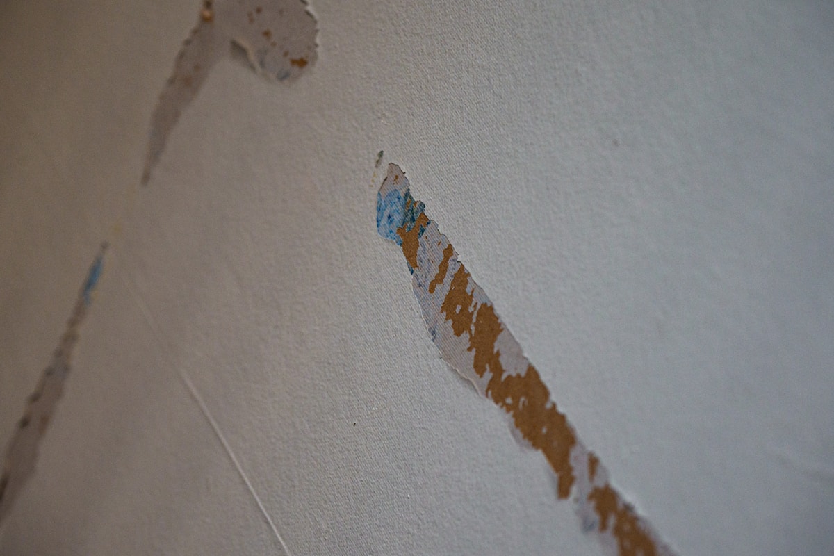 Structural Drying service in Pearland, TX